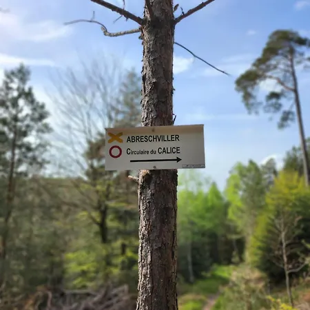 Le Nid Du Calice * Abreschviller