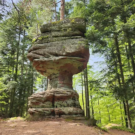 Le Nid Du Calice Dom wakacyjny