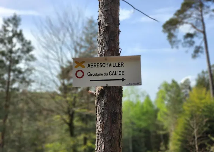 Le Nid Du Calice * Abreschviller