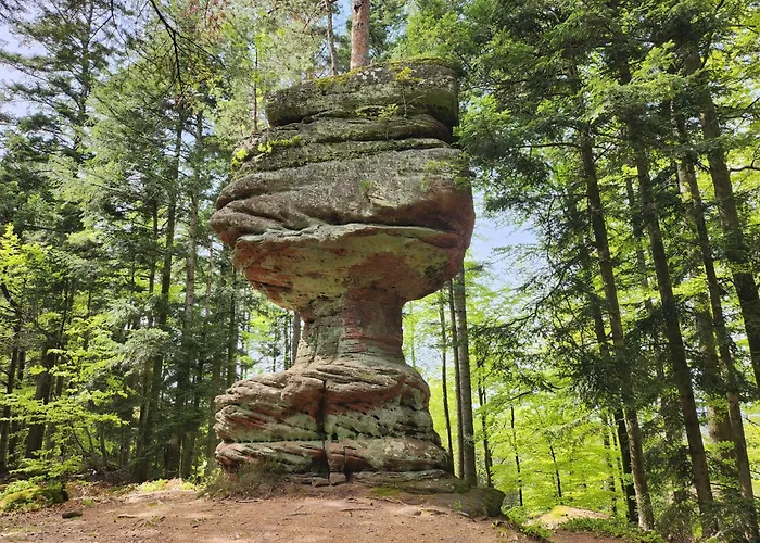 Le Nid Du Calice Hébergement de vacances